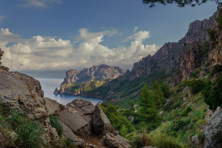 Mallorca Rundresa: Sa Calobra, Torrent de Pareis och Cala Tuent