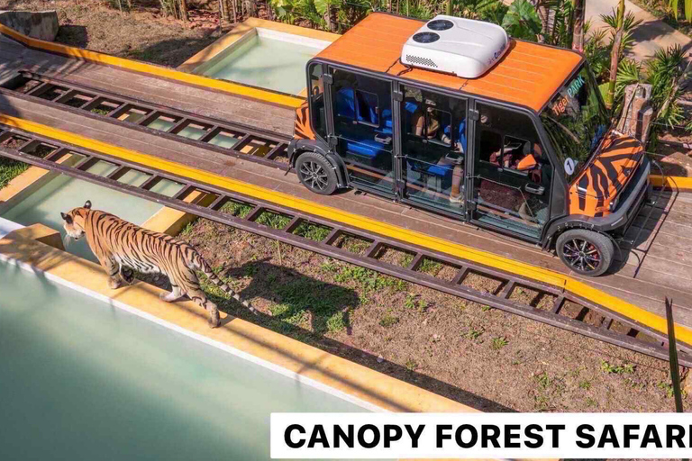Phuket:Tiger Park Safari,Big Buddha,ATV,Elephants & Old Town Morning:City Tour Tiger Canopy Forest Safari & Feeding Guide