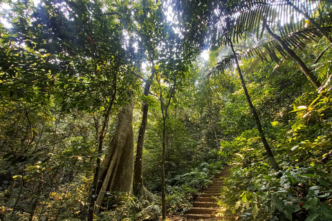 Cuc Phuong National Park - Van Long Day Trip From Hanoi