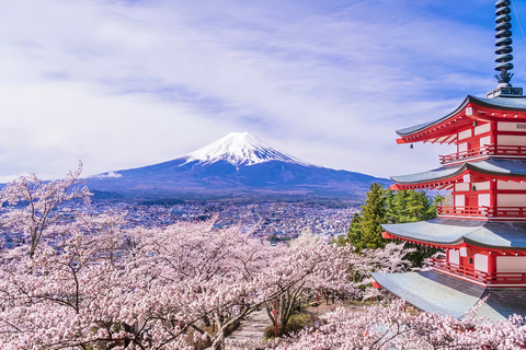 Mount Fuji Day Tour: Instagrammable Spots + Scenic Train From Tokyo (Including ropeway and cruise)