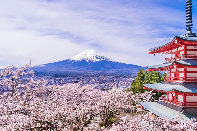 Mount Fuji Day Tour: Instagrammable Spots + Scenic Train From Tokyo (Including ropeway and cruise)