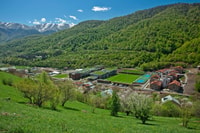 Viaje a los Verdes Dilijan y los famosos Monasterios - Hizvo