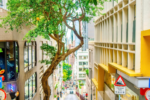 From Shenzhen: Hong Kong Heritage, Skyline & Harbour View Guide for other languages