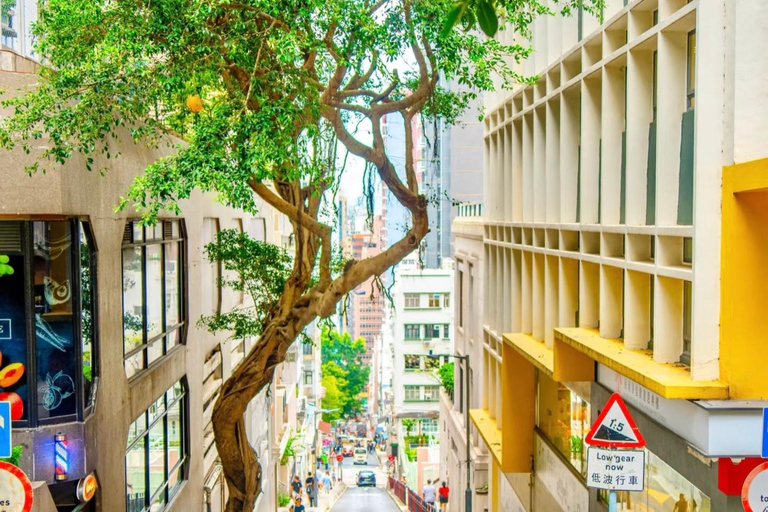 From Shenzhen: Hong Kong Heritage, Skyline & Harbour View Guide for other languages