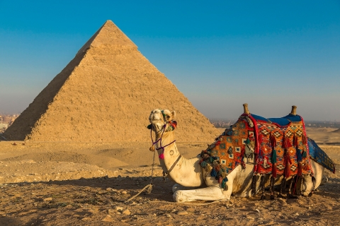 Pyramides, Sphinx et Grand musée égyptien avec guide féminin