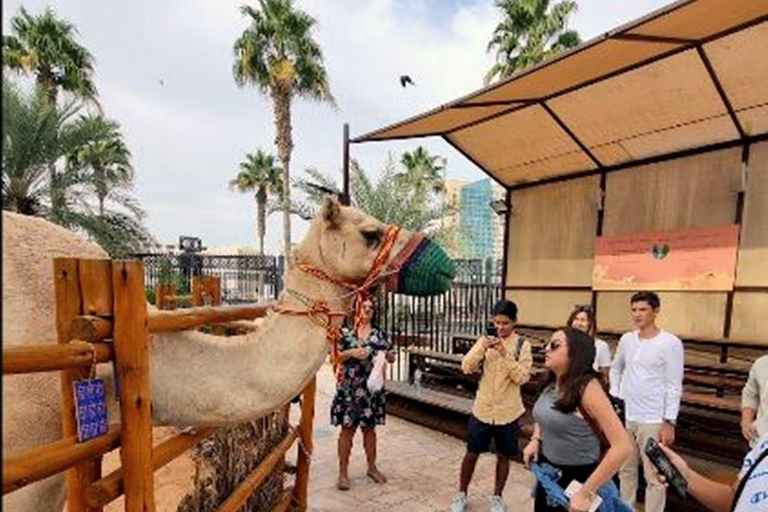 Dubai: Halbtagestour Stadtführung, Zukunftsmuseum, Blaue Moschee &amp; BurjDubai: Halbtagestour durch die Stadt mit Souks, Boot, Rahmen, Blauer Moschee