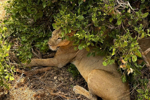 Mombasa/Diani: 2-Day Tsavo East Safari with Meals Private day tour to Tsavo East National Park - VAN