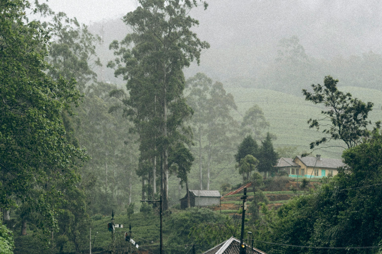 Sri Lanka: 9-Day Honeymoon Tour with Accommodation