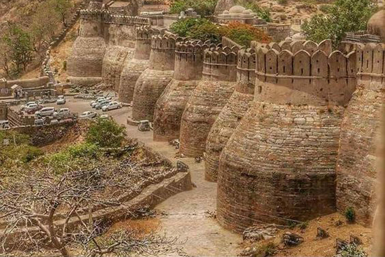 Depuis Udaipur : Excursion privée d&#039;une journée à Kumbhalgarh et Ranakpur