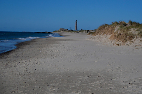 Mai 2025 Dänemark: Birding Tour mit Skagen Fuglefestival