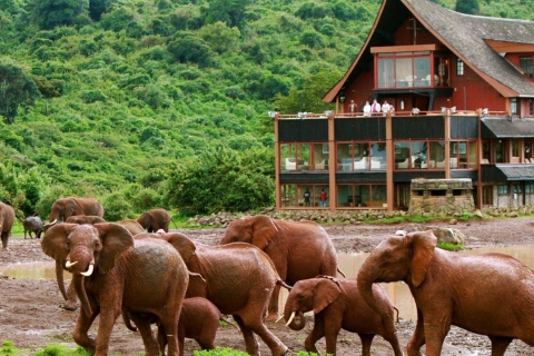 2 Tage Aberdares National Park Luxus Lodge Safari