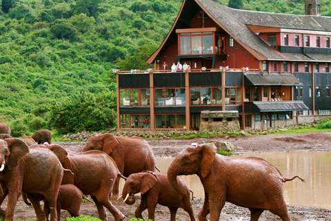 2Days Aberdares National Park Safari Package