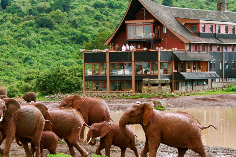 2Days Aberdares National Park Safari Package