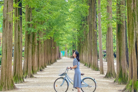 Seoul: Nami and Petite France Tour with Optional K-Garden Private Tour with Hotel Pickup