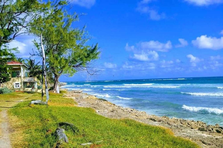 Barbados: Hiking and Sightseeing Tour