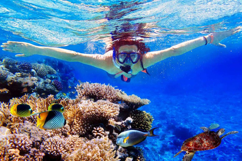 Bali: Snorkeling Tour with USAT Liberty Shipwreck