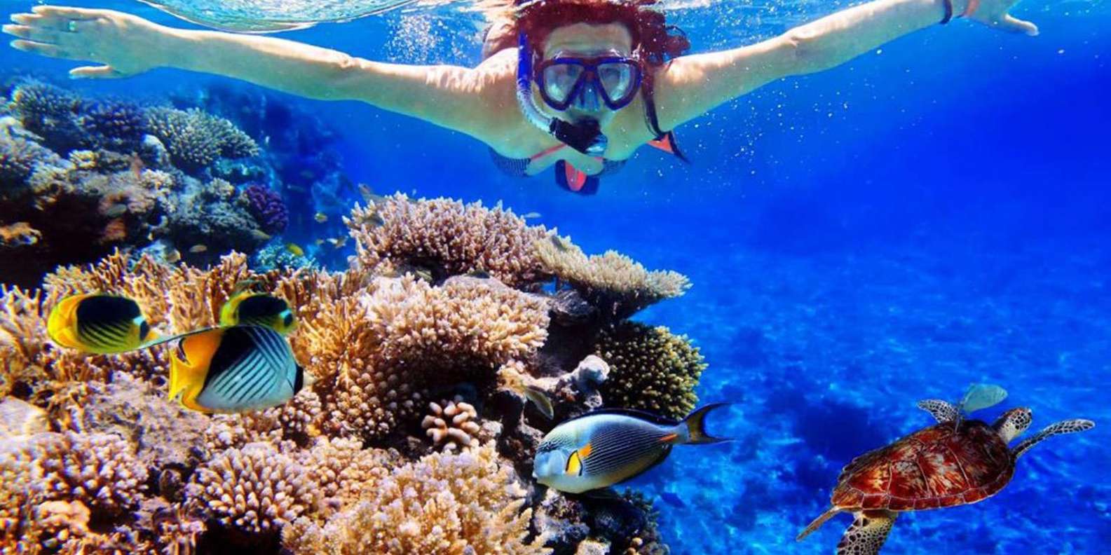 Bali: Snorkeling Tour with USAT Liberty Shipwreck
