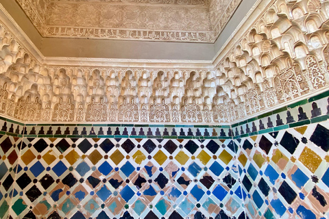 Granada: Alhambra Fast-Track Ticket and Guided Tour by Night