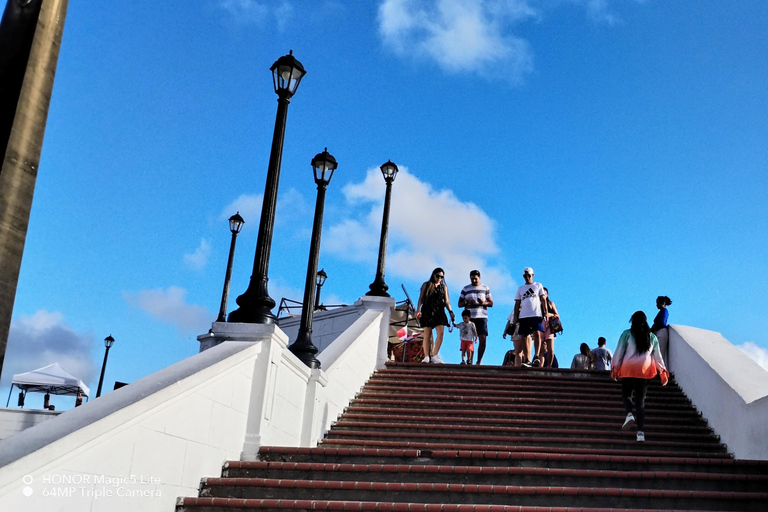 Panama: Panama City Tour + Panama Canal (Miraflores Locks) Panama: Panama City Tour + Panama Canal Shared 5 Hours Spanish