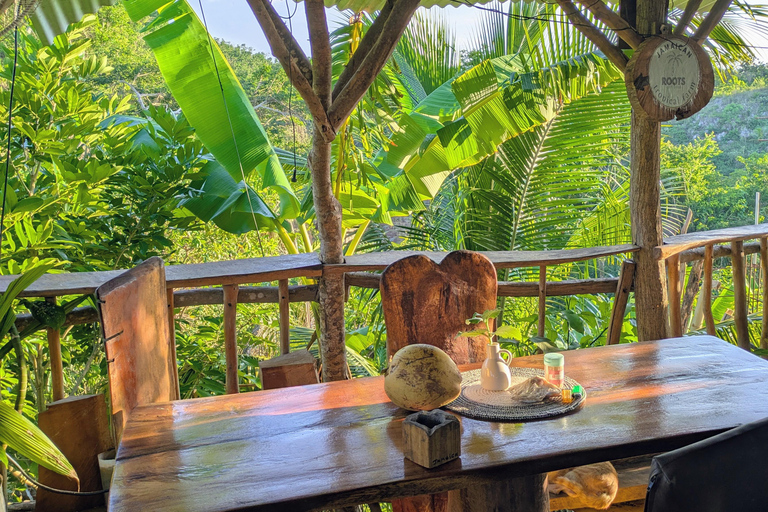 Negril: Jamaican Roots Tropical Farm Tour (2.5 hr w/ pickup)
