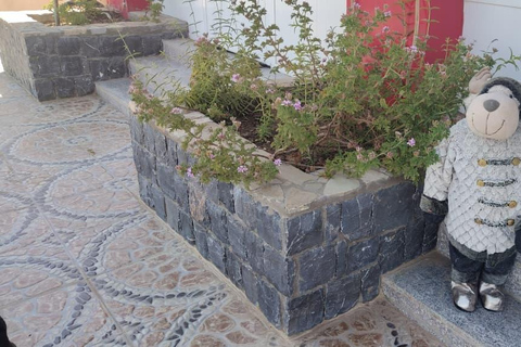 Muscat: Green Mountain with Castle, Fossil & Villages Tour