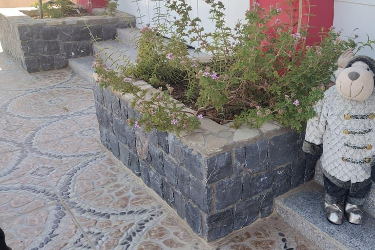 Muscat: Green Mountain with Castle, Fossil & Villages Tour