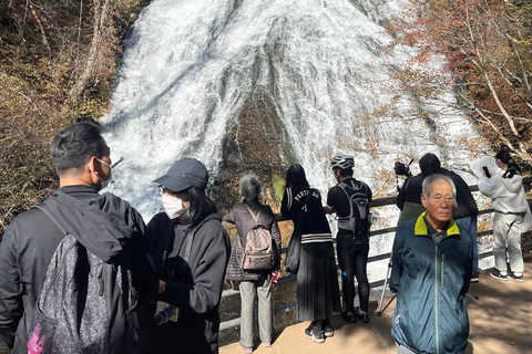 Tokyo: Nikko Private Day Tour with Pickup
