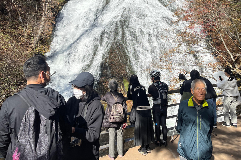 Tokyo: Nikko Private Day Tour with Pickup