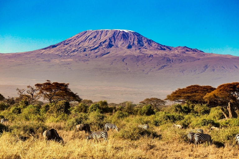 6 jours Route Machame Ascension du Kilimandjaro