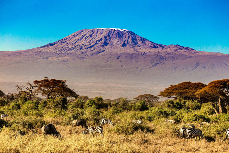 6 Days Machame Route Climb Kilimanjaro