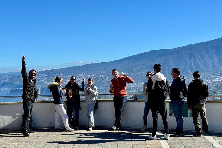 Puerto de la Cruz: Quad Tour with Off-Road Route, Viewpoints & Photos Single Quad (1 person per quad)