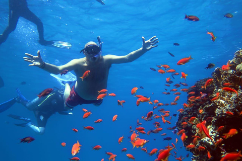 Sharm El Sheikh: Ras Mohamed Cruise with Snorkeling &amp; Lunch