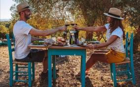 Sardinian Olive Oil tasting & Picnic among the olive trees