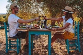 Sardinian Olive Oil tasting & Picnic among the olive trees