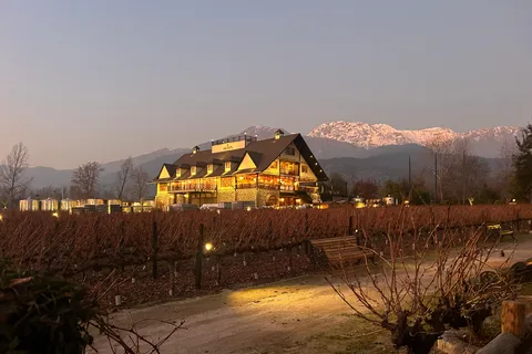 Vinos de la Familia Alyan | La visita al atardecer
