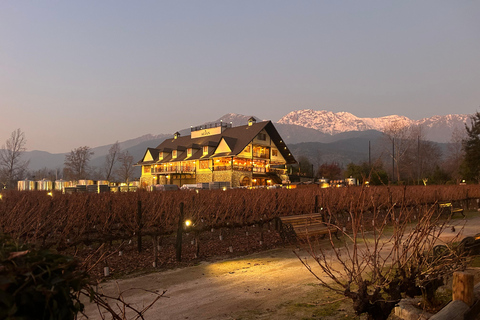 Aylan Family Wines | La tournée du coucher de soleil