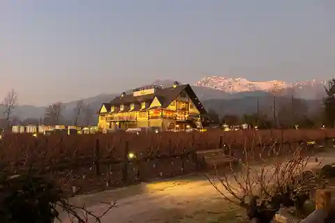 Aylan Family Wines | The Sunset Tour