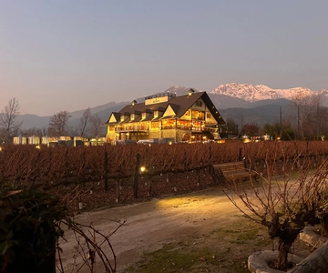 Alyan Family Wines | The Sunset Tour