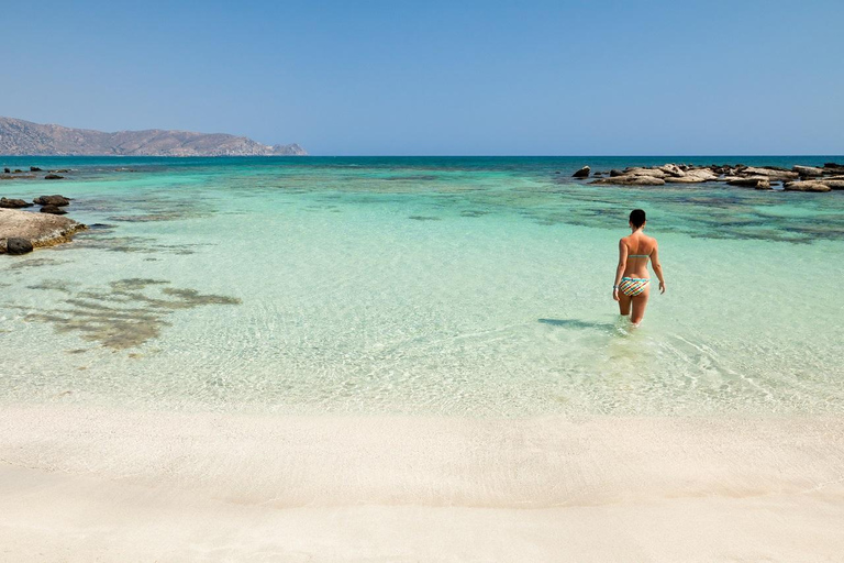 Athen: Schwimmende Kreuzfahrt mit Mittagessen, Wein und Live-DJ an Bord