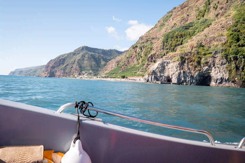 Calheta Madeira: Wal- und Delfinbeobachtungstour mit dem Schnellboot