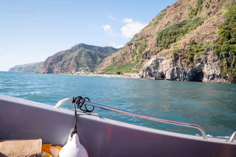 Calheta Madeira: Wal- und Delfinbeobachtungstour mit dem Schnellboot