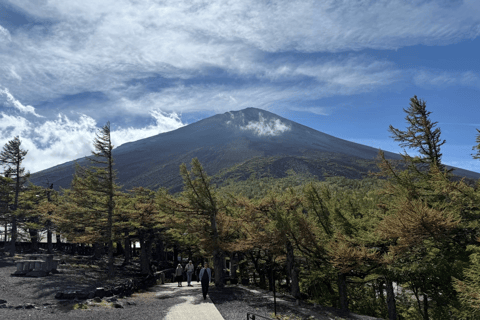 Tokyo: Mountain Fuji Private Full Day Tour with transfer Mount Fuji: Private Tour (Guided tour included) Max 5 pax