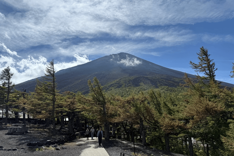 Tokyo: Mountain Fuji Private Full Day Tour with transfer Mount Fuji: Private Tour (Guided tour included) Max 5 pax