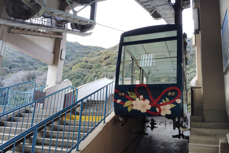Kintai-Kyo Bridge and Iwakuni Castle with local guide 3h Jan 2025 Iwakuni