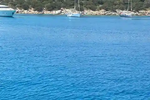 Bodrum Aquarium Bay Tour with Lunch & Swimming Stops