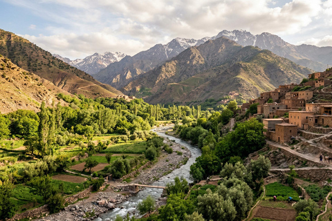 From Marrakech: Ourika Valley Atlas Mountains Day Trip with Lunch Option 3: Shared Group Transport and Local Guide