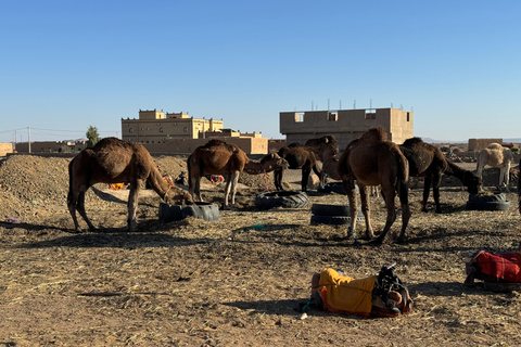 4 Days Desert Tour From Fes to Marrakech