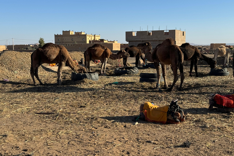 4 Days Desert Tour From Fes to Marrakech