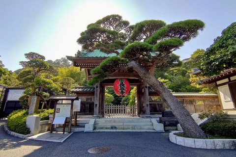 Tokyo: Kamakura & Enoshima Private Guided Day Trip