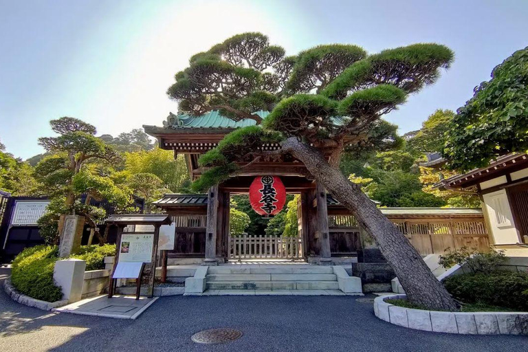 Tokyo: Kamakura & Enoshima Private Guided Day Trip